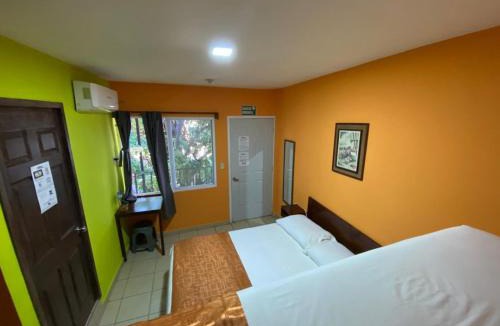 Zona Centro House | Hostal Casa Huasteca