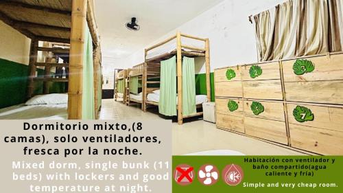 Palenque House | Hostal Pakal King