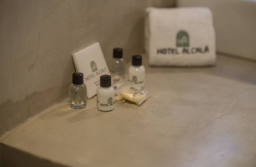 Zona Expo Hotel | Hotel Alcalá Expo