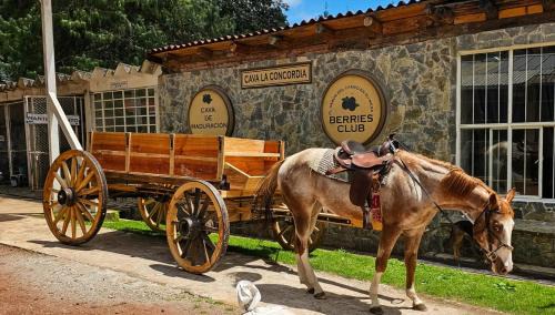 Zacatlan Hotel | Hotel Boutique Frutos del bosque de Zacatlan