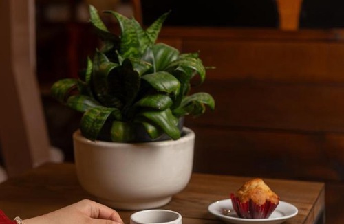 Zitacuaro Hotel | Hotel-Boutique La Casa De Los Recuerdos