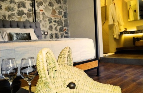 Centro Hotel | Hotel Casa Chanehque