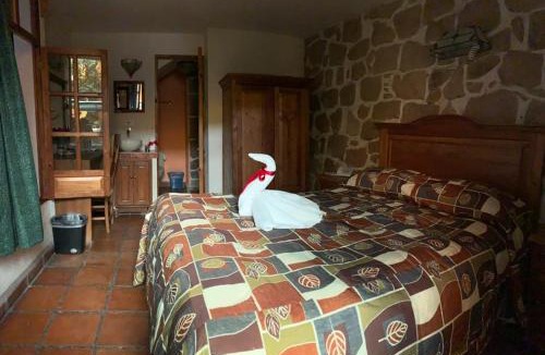 Historic Centre Hotel | Hotel Casa del Anticuario