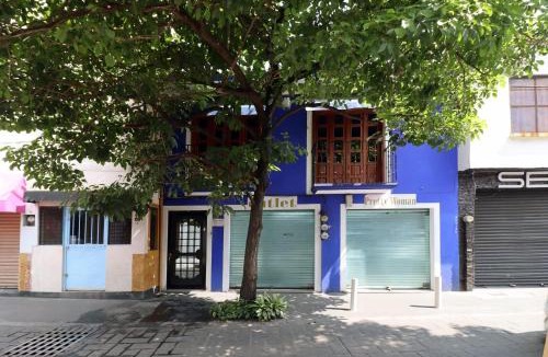 Central Cuernavaca Hotel | Hotel Casa Frida