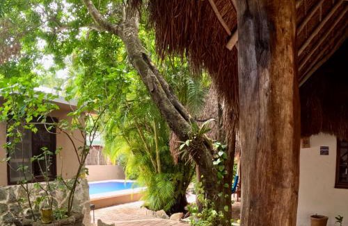 Ejidal Hotel | Hotel Casaejido