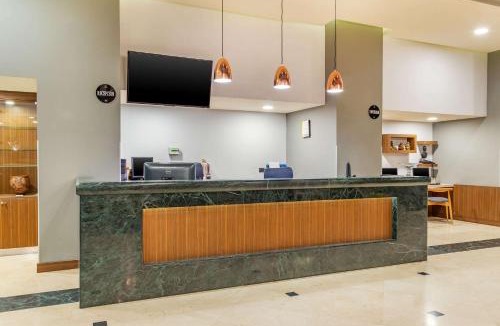 Chihuahua Hotel | Hotel Chihuahua San Francisco