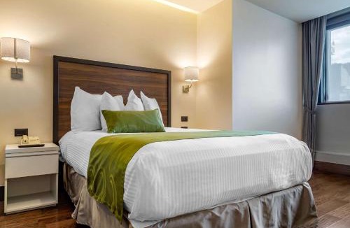 Chihuahua Hotel | Hotel Chihuahua San Francisco