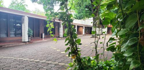 San Juan Bautista Tuxtepec Hotel | Hotel El Rancho