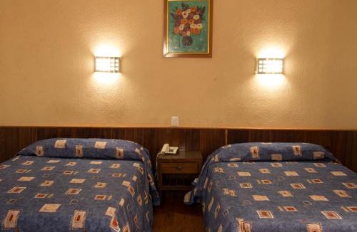 Colonia Roma Hotel | HOTEL ESTADIO S.A