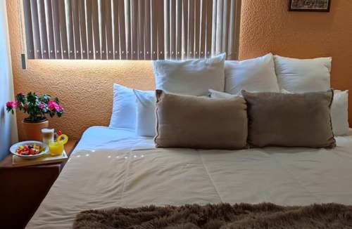 Tlalpan Hostel | Hotel Express Quinta Soledad
