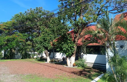Yautepec Hotel | Hotel Iguanas