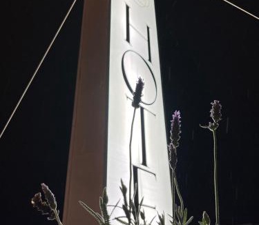 Xalapa Hotel | Hotel Las Flores
