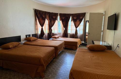 Zona 9 Bed & Breakfast | Hotel Mayesstic