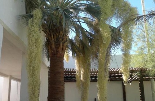 Catavina Hotel | Hotel Misión Santa Ma "Cataviña"