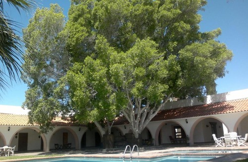 Catavina Hotel | Hotel Misión Santa Ma "Cataviña"