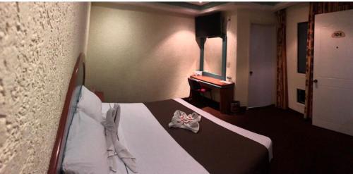 Venustiano Carranza Hotel | HOTEL ORION