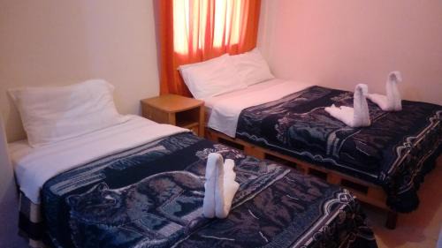 Historic Center Hotel | Hotel Patria