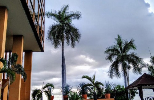 Culiacan Hotel | Hotel San Luis Lindavista