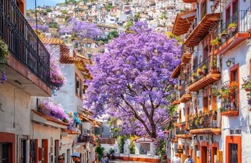 Taxco Hotel | Hotel Suites