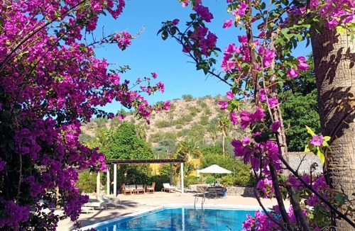 Puerto Escondido Hotel | Hotel Tripui