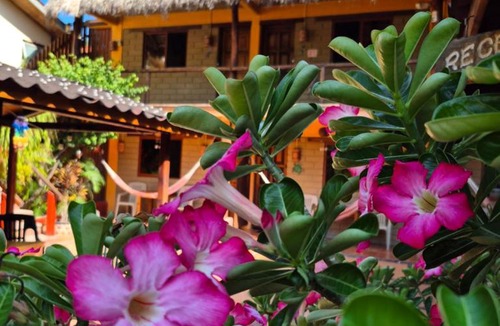 Brisas de Zicatela Hotel | HOTELITO SWISS OASIS, Playa Zicatela - Adults Only - Kitchen - Cocina