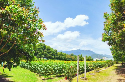 Esquipulas House | House/Apartment (sleeps 12) 3 minutes from the Basilica. + A/C, parking, and free Wi-Fi.