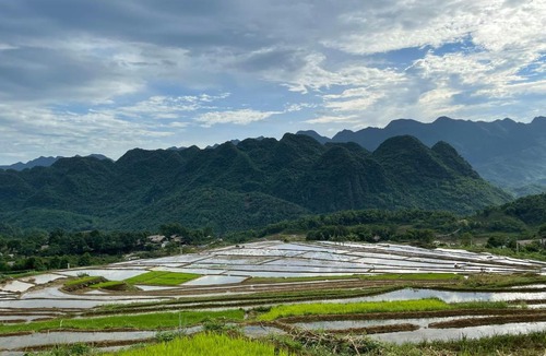 Kho Muong House | House By The Stream