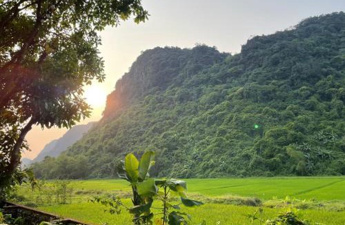 Son Trach House | Huy Bulgalow garden