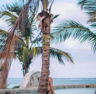 Playa Paraiso Hotel | Ikal Tulum Hotel