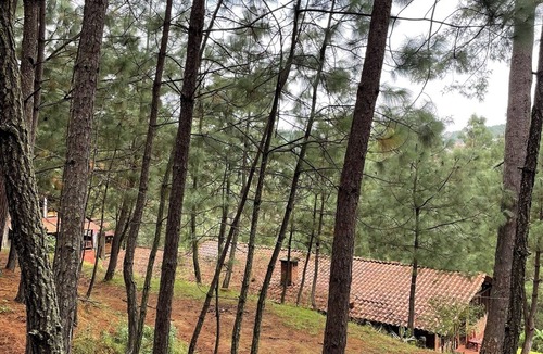 Mazamitla Cabin | Immersed in the Mazamitla Forest.