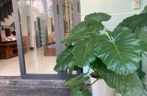 Hue City Centre Villa | Jerry house - Private House in the City center