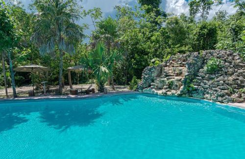 Leona Vicario Hotel | Jolie Jungle Eco Hotel