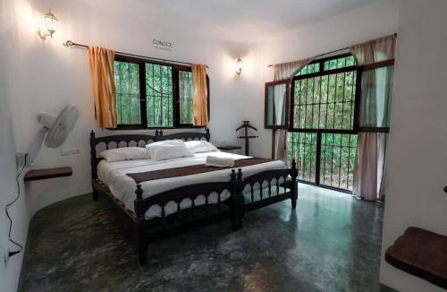 Leona Vicario Hotel | Jolie Jungle Eco Hotel