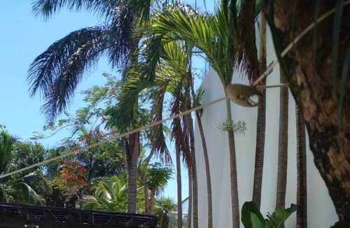 Playacar Fase I House | Just steps from the Beach, Sleep up to 10 guest