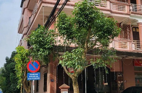 Cua Lo Hotel | Khách Sạn Thoan Ưng Cửa Lò - cách biển 200m