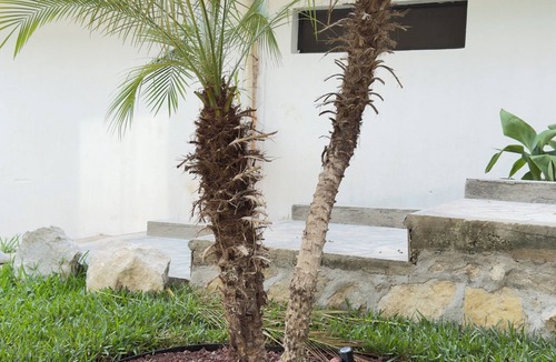 Chiapa De Corzo Apartment | King Bed Climate TV Internet Hot water Parking Garden Central location