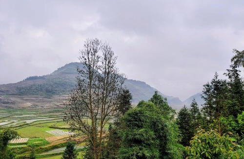 Quan Ba House | LÝ GIA HOMESTAY