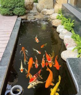 Lang Son Hotel | Lạng Sơn Marina Hotel