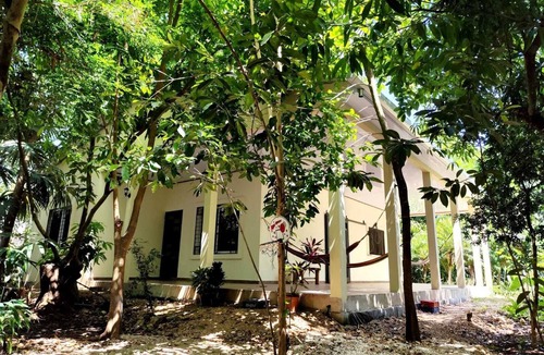 San Benito House | La Casa de los Abuelos, a little corner of the jungle in San Benito Petén.