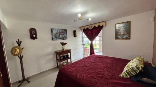 Zapopan House | La casa de los abuelos
