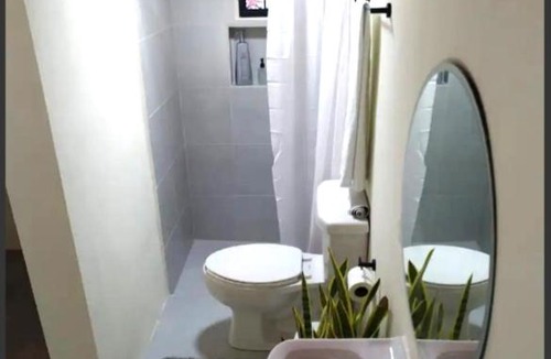 Luis Donaldo Colosio Apartment | La Casa de los Cactus 8