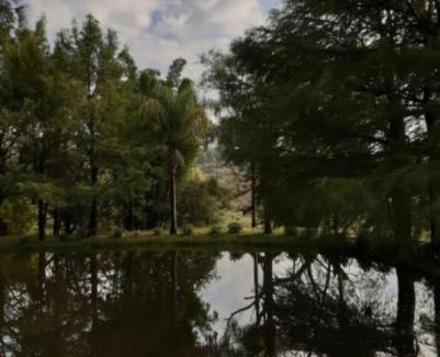 Tala Villa | La Lobera Cabañas El Tlayan