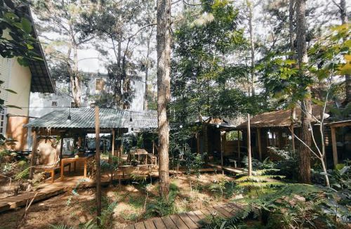 Kon Plong House | La Maison Homestay Măng Đen