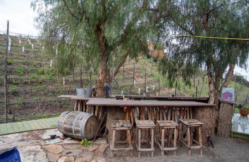 San Antonio de las Minas Other | Lago Amor del Valle Glamping Grande