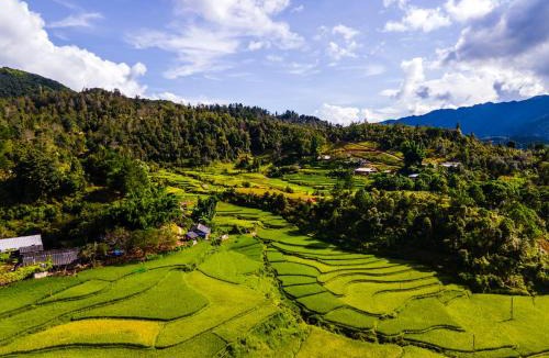 Mu Cang Chai Hotel | Lam Ecolodge Mu Cang Chai