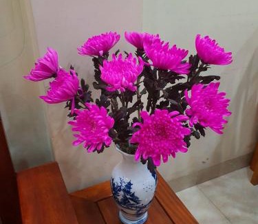 Ben Tre Hotel | LaMera Homestay