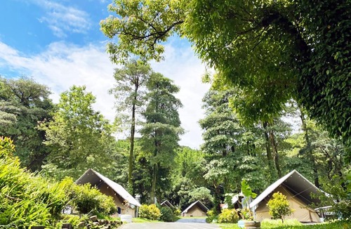 Nuannuan District Other | Lapopo