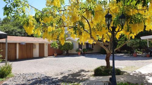 Los Gavilanes Apartment | Las Casitas Campestres de Fraida - Un Oasis dentro de la Ciudad