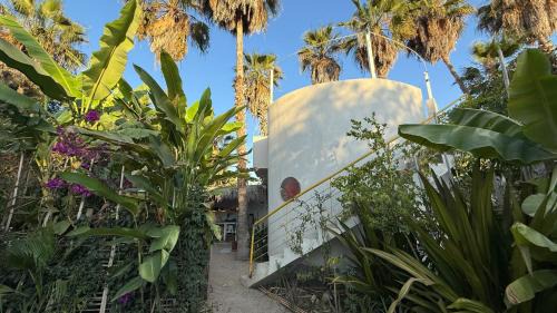 Todos Santos Apartment | Las casitas