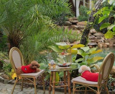 Da Nang Other | LIA Retreat & Coffee